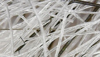 Rambut uban dilihat dari Mikroskop. Foto: Boredpanda