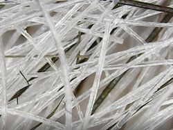 Dilihat Pakai Mikroskop, Tampilan Benda Ini Bikin Shock!