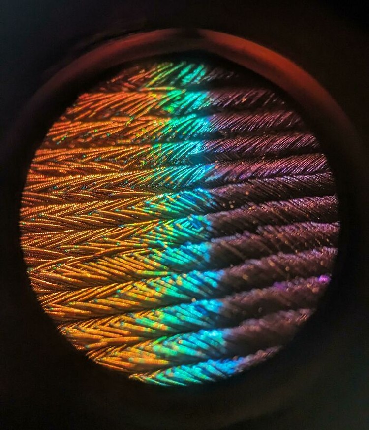 Foto di Bawah Mikroskop