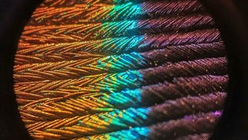 Bulu Merak Menunjukkan Spektrum di Bawah Mikroskop Foto: Boredpanda