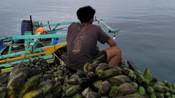 Hasil bumi di Pulau Enggano harganya tengah anjlok.