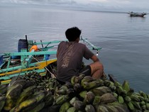 Warga di Pulau Enggano Terisolasi, Trenggono Buka Suara