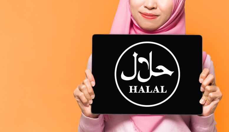 Ilustrasi halal dan 'no pork'