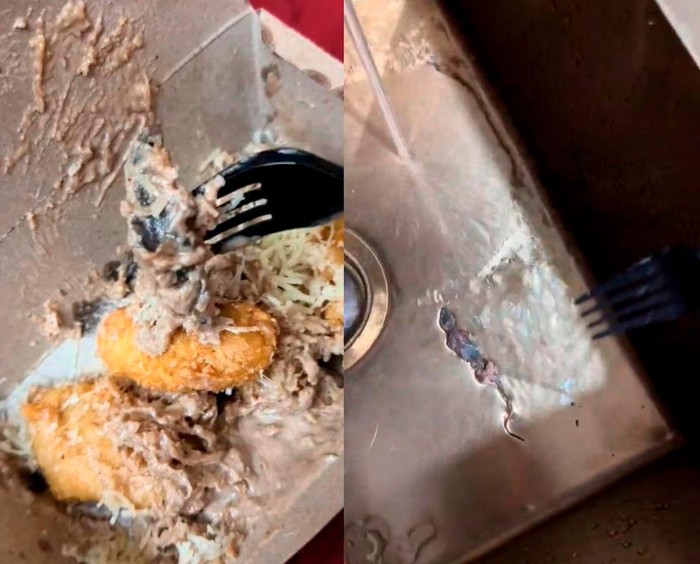 Jijik! Beli Pisang Goreng Keju Tiramisu Dapat Topping Cicak Utuh