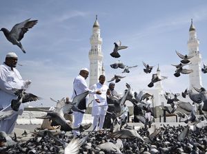 Madinah Kota Nabi Jadi Destinasi Utama Kawasan, Al Ula Diminati Wisman