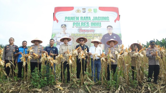 Panen raya jagung Polres Indragiri Hulu Riau. (Dok. Polres Inhu)