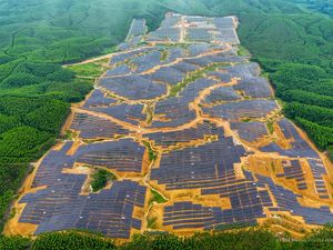 Singapura Bakal Bangun Kebun Matahari Kapasitas 50 MW di IKN