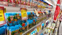 Sampai 31 Mei 2025, realisasi penerimaan kepabeanan dan cukai mencapai Rp 122,9 triliun atau 40,7% dari target APBN. Jumlah tersebut tumbuh 12,6% dibandingkan periode yang sama tahun lalu.