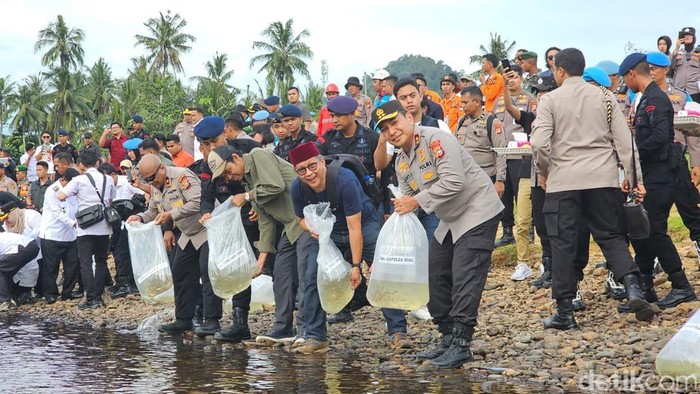 Polda Riau melakukan penanaman 79 pohon dan melepaskan 7.900 ekor bibit ikan lomak di Kampar, Riau, pada Rabu (18/6/2025).