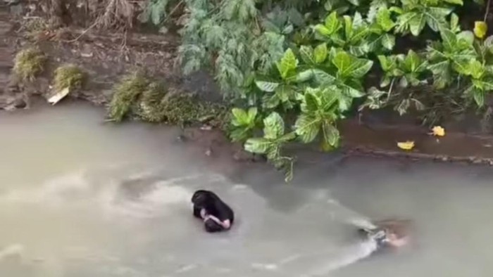 Pria duduk di tangah sungai di Bogor