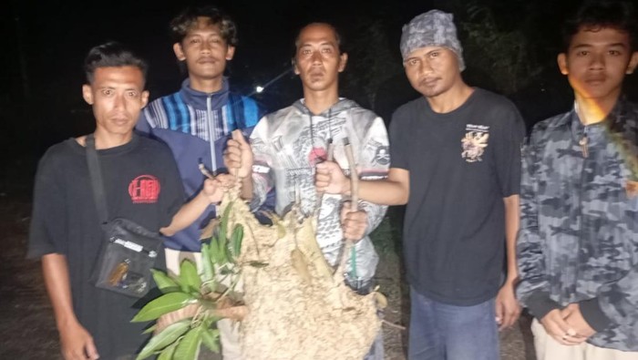 Sarang tawon di Bareng Lor, Kecamatan Klaten Utara dievakuasi Exalos.