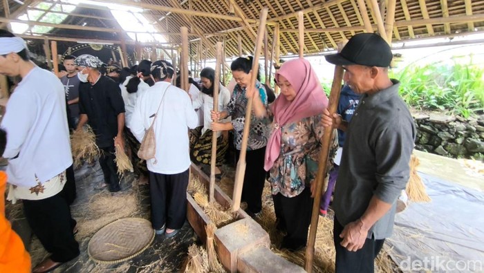Suasana prosesi menumbuk padi di acara puncak Seren taun Sunda Wiwitan Cigugur 2025