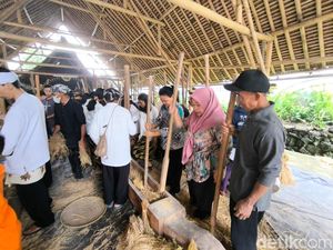 Belajar Syukur dan Toleransi dari Tumbukan Padi Seren Taun Cigugur
