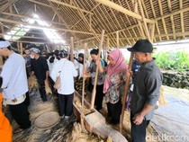 Belajar Syukur dan Toleransi dari Tumbukan Padi Seren Taun Cigugur