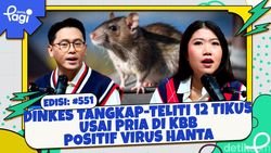 Dinkes Tangkap-Teliti 12 Tikus Usai Pria di KBB Positif Virus Hanta