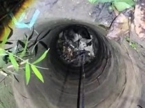 Anjing Diduga Rabies 3 Hari Terjebak Dalam Sumur Tua di Polman Dievakuasi