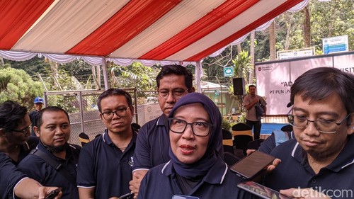 General Manager PT PLN Unit Induk Wilayah (UIW) NTB Sri Heny Purwanti saat berkunjung ke PLTM Santong, Jumat (20/6/2025). (Ahmad Viqi/detikBali).