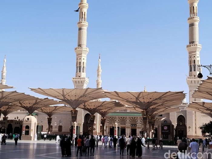 Petugas Penyelenggara Ibadah Haji (PPIH) menyiapkan lima pos sektor khusus di kawasan Masjid Nabawi. (Haris/detikcom)