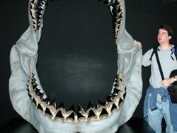 Sedih, Hewan-hewan Ini Sudah Punah Termasuk Asal Indonesia