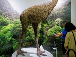 Sedih, Hewan-hewan Ini Sudah Punah Termasuk Asal Indonesia