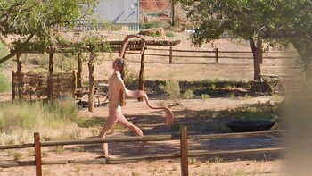 Bisa menebak ini apa? Foto: Boredpanda