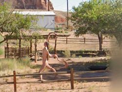 Terekam Google Maps! Foto Kocak hingga Bikin Melongo