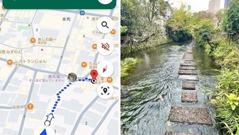 Google Maps Mengatakan Anda Dapat Melewatinya. Itu adalah Jalan yang Sangat Menyenangkan dan Terasa Seperti Petualangan, Foto: Boredpanda