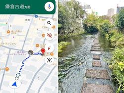 Terekam Google Maps! Foto Kocak hingga Bikin Melongo