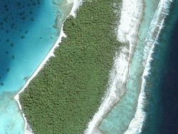 Terekam Google Maps! Foto Kocak hingga Bikin Melongo