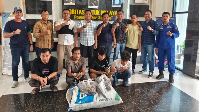 Pelaku penyelundupan sisik tenggiling di Jambi diamankan polisi