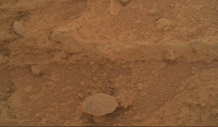 Penampakan benda mirip jamur di Mars.