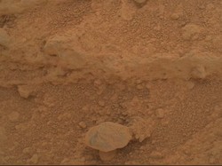 Muncul Penampakan Jamur di Mars, Tanda Kehidupan?