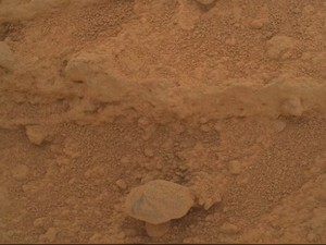 Muncul Penampakan Jamur di Mars, Tanda Kehidupan?