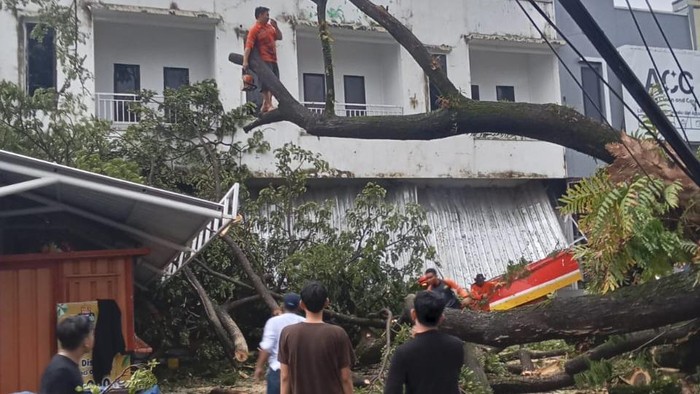 Pohon tumbang di Jalan Berua Raya Makassar.