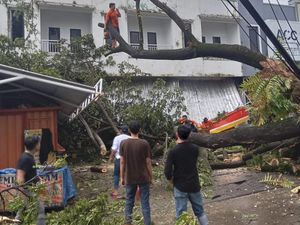 Pohon Tumbang di Jalan Berua Raya Makassar Timpa Atap Minimarket-1 Motor
