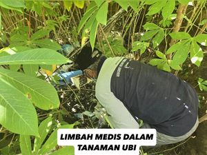 Polisi: Kuburan Limbah Medis di Pekanbaru Cemari Lingkungan dan Singkong