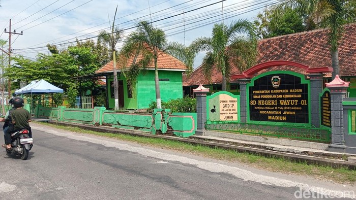 SDN Wayut 01
