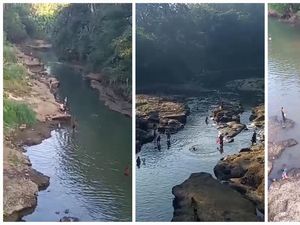 Ikan di Sungai Kelingi Lubuklinggau Mati Diduga Setelah Diracun Pakai Putas