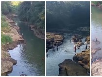 Ikan di Sungai Kelingi Lubuklinggau Mati Diduga Setelah Diracun Pakai Putas