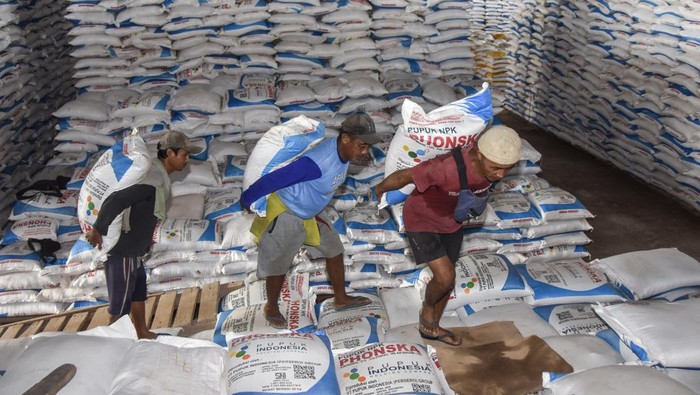 Tak Perlu Panik, Stok Pupuk Subsidi di Jawa Barat Aman hingga Musim Tanam Pekerja mengangkut pupuk sebelum didistribusikan di gudang Lini III Pupuk Indonesia, Awipari, Kota Tasikmalaya, Jawa Barat, Jumat (20/6/2025). Pupuk Indonesia memastikan stok pupuk bersubsidi untuk memenuhi kebutuhan petani pada musim tanam kedua tahun 2025 di wilayah Jawa Barat dalam kondisi aman dengan ketersedian stok mencapai 42 ribu ton pupuk urea dan 35 ribu ton pupuk NPK. ANTARA FOTO/Adeng Bustomi