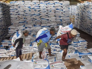 5 Negara Mau Borong Pupuk Urea Indonesia, India 500 Ribu Ton