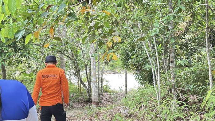 Tim SAR gabungan melakukan pencarian di hutan.