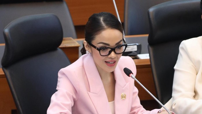 Anggota Komisi I DPR Andina
