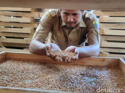 Foto Jabar: Menenun Ladang Emas dari Ulat dan Jangkrik