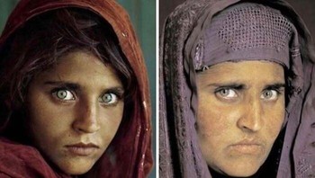 Pada Tahun 1985, Sharbat Gula Menjadi Wajah Foto Paling Ikonik National Geographic Foto: Boredpanda