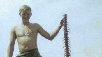 Seorang Tentara Amerika di Vietnam Mengangkat Seekor Scolopendra Subspinipes, Spesies Kelabang Raksasa yang Ditemukan di Seluruh Asia Foto: Boredpanda