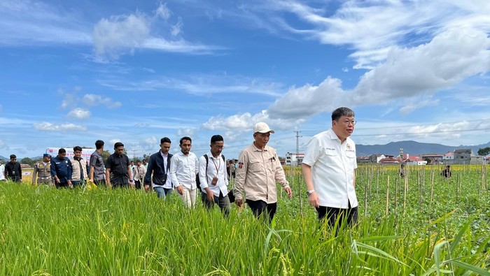 Kunjungan Komisi IV DPR ke Sumbar mengecek Sawah Pokok Murah. (dok. istimewa).