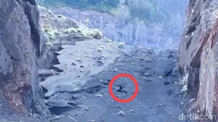 Pendaki asal Brasil jatuh di jurang Gunung Rinjani, Lombok, Sabtu (21/6/2025).
