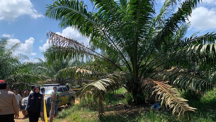 Penemuan mayat di Solok Selatan