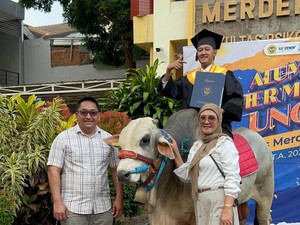 Viral Mahasiswa Bawa Sapi saat Wisuda, Ada Kisah Inspiratif di Baliknya
